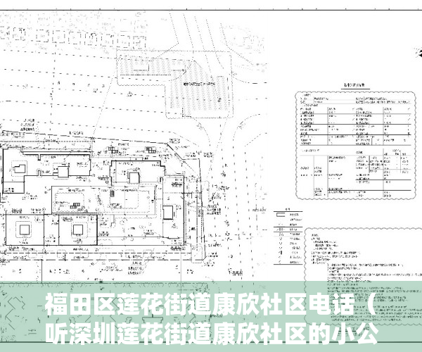 福田区莲花街道康欣社区电话（听深圳莲花街道康欣社区的小公民们聊聊文明城市那些事儿）