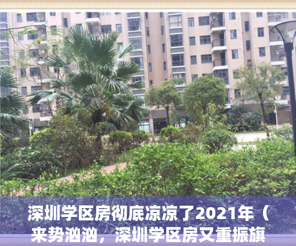 深圳学区房彻底凉凉了2021年（来势汹汹，深圳学区房又重振旗鼓了）(深圳学区房新政策2021划分政策)