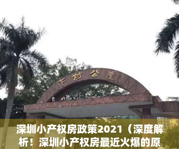 深圳小产权房政策2021（深度解析！深圳小产权房最近火爆的原因！）(深圳小产权房新政策)