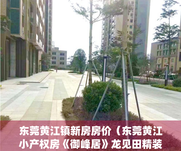 东莞黄江镇新房房价（东莞黄江小产权房《御峰居》龙见田精装出售）(东莞市黄江镇新楼盘)