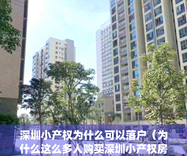 深圳小产权为什么可以落户（为什么这么多人购买深圳小产权房？）(深圳小产权房为什么这么便宜)