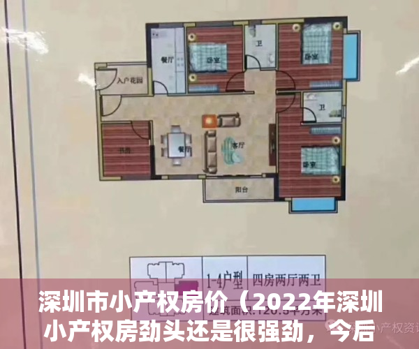 深圳市小产权房价（2022年深圳小产权房劲头还是很强劲，今后发展趋势如何，是否该入手）