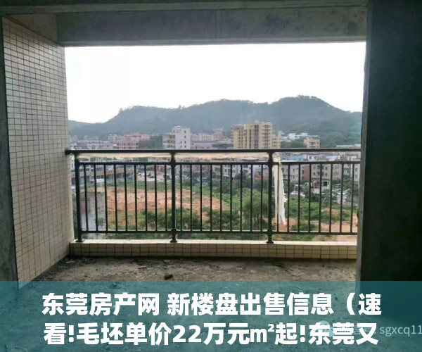 东莞房产网 新楼盘出售信息（速看!毛坯单价22万元㎡起!东莞又一个纯新盘备案了!）