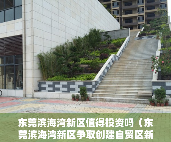 东莞滨海湾新区值得投资吗（东莞滨海湾新区争取创建自贸区新片区！）