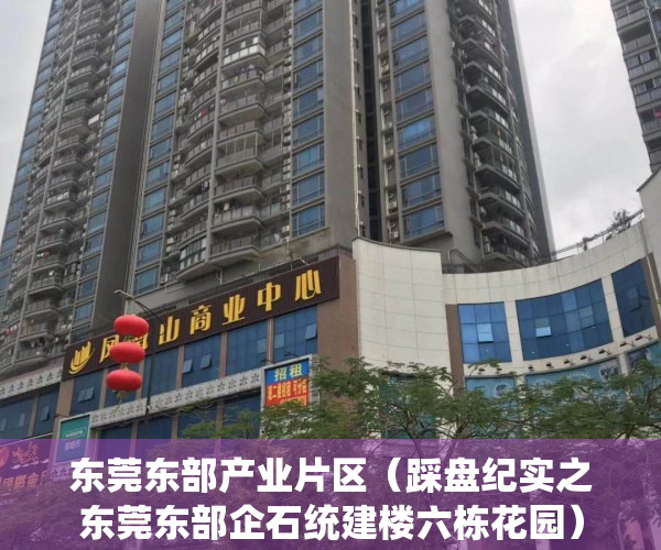 东莞东部产业片区（踩盘纪实之东莞东部企石统建楼六栋花园）