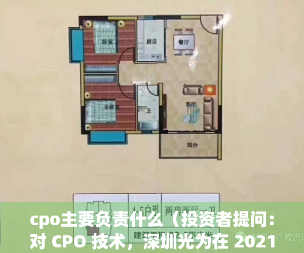 cpo主要负责什么（投资者提问：对 CPO 技术，深圳光为在 2021 年已有预研，光为积极在）