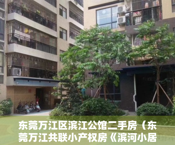 东莞万江区滨江公馆二手房（东莞万江共联小产权房《滨河小居》均价5200元平米）