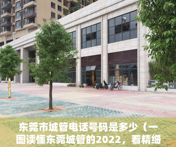 东莞市城管电话号码是多少（一图读懂东莞城管的2022，看精细化管理如何“扮靓”城市）