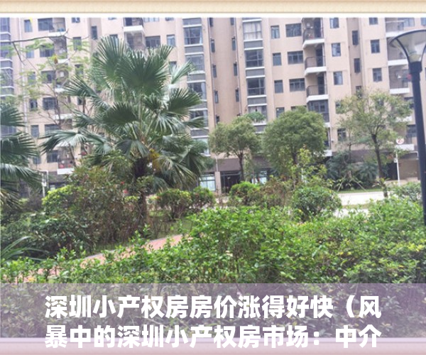 深圳小产权房房价涨得好快（风暴中的深圳小产权房市场：中介门店歇业 背后存复杂利益链）