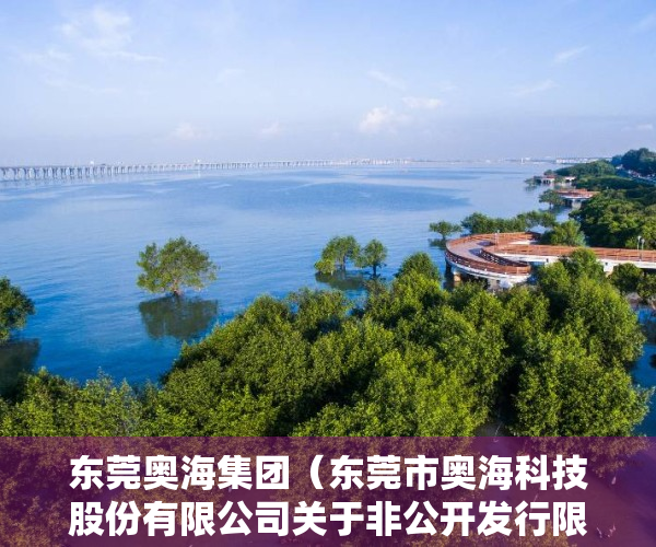 东莞奥海集团（东莞市奥海科技股份有限公司关于非公开发行限售股份解禁上市流通的提示性公告）