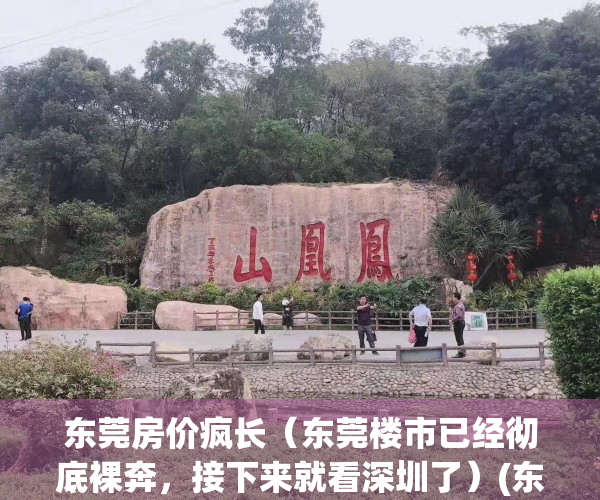 东莞房价疯长（东莞楼市已经彻底裸奔，接下来就看深圳了）(东莞房价太离谱了)