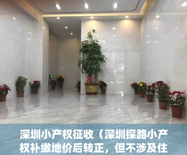 深圳小产权征收（深圳探路小产权补缴地价后转正，但不涉及住宅）(深圳小产权房补偿的真实案例)