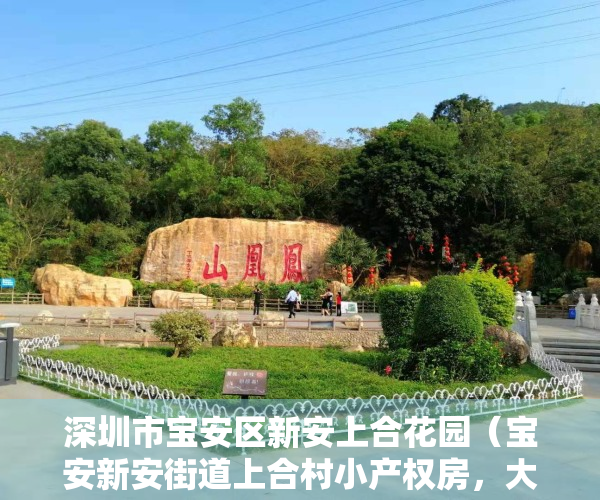 深圳市宝安区新安上合花园（宝安新安街道上合村小产权房，大三房二厅）