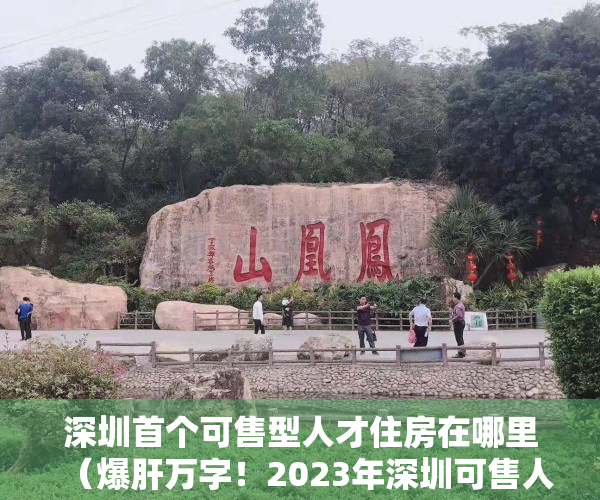 深圳首个可售型人才住房在哪里（爆肝万字！2023年深圳可售人才房全攻略）