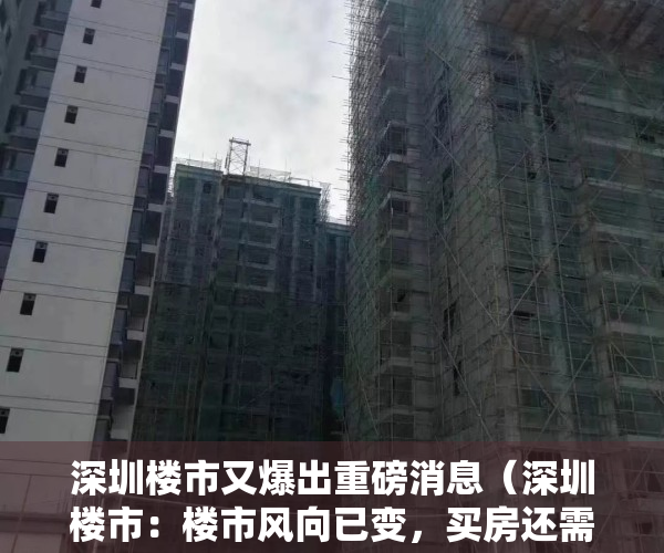 深圳楼市又爆出重磅消息（深圳楼市：楼市风向已变，买房还需精挑细选！）