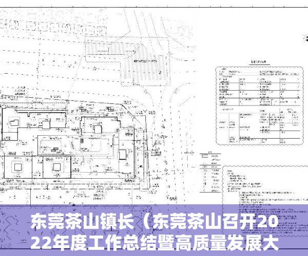 东莞茶山镇长（东莞茶山召开2022年度工作总结暨高质量发展大会）