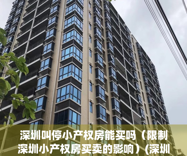 深圳叫停小产权房能买吗（限制深圳小产权房买卖的影响）(深圳禁售小产权)