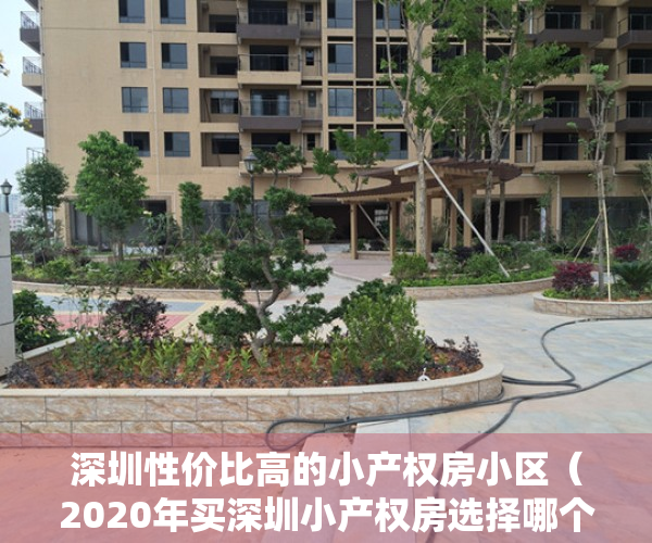 深圳性价比高的小产权房小区（2020年买深圳小产权房选择哪个片区最有潜力）