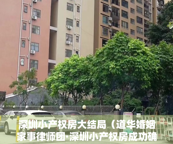 深圳小产权房大结局（道华婚姻家事律师团·深圳小产权房成功确认继承份额并要回应继承的租金收益。）