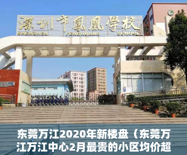 东莞万江2020年新楼盘（东莞万江万江中心2月最贵的小区均价超过3万平，均价14302元平）