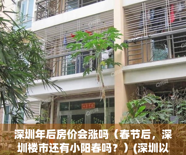 深圳年后房价会涨吗（春节后，深圳楼市还有小阳春吗？）(深圳以后房价会降吗)