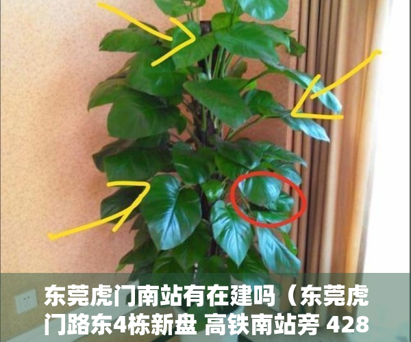 东莞虎门南站有在建吗（东莞虎门路东4栋新盘 高铁南站旁 4280元㎡）