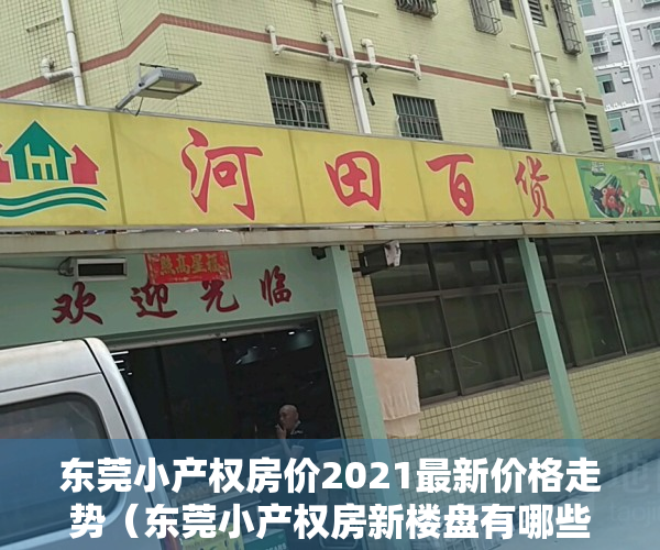 东莞小产权房价2021最新价格走势（东莞小产权房新楼盘有哪些？如何选择楼盘？）