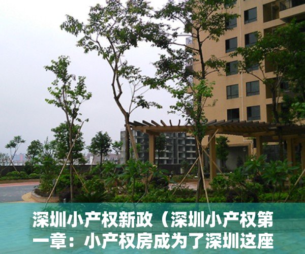 深圳小产权新政（深圳小产权第一章：小产权房成为了深圳这座城市的历史“欠账”）