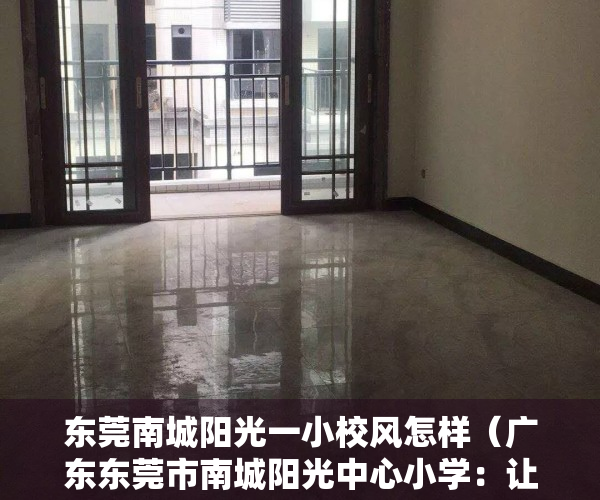 东莞南城阳光一小校风怎样（广东东莞市南城阳光中心小学：让受援学校盛开阅读之花）