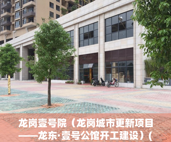 龙岗壹号院（龙岗城市更新项目——龙东·壹号公馆开工建设）(龙岗一号线路图)