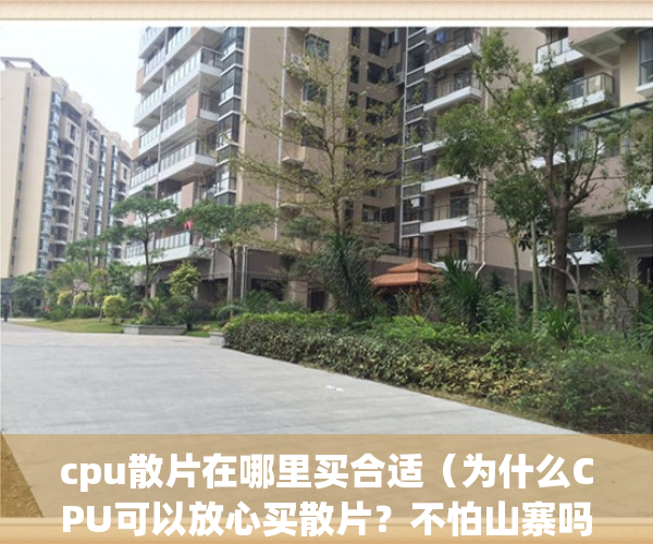 cpu散片在哪里买合适（为什么CPU可以放心买散片？不怕山寨吗附【推荐清单】）