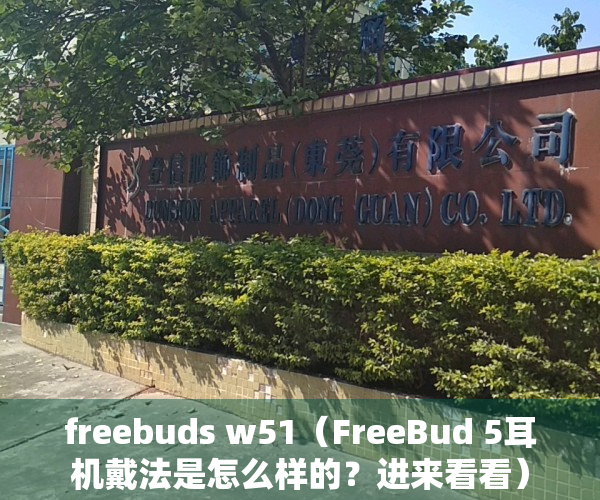 freebuds w51（FreeBud 5耳机戴法是怎么样的？进来看看）