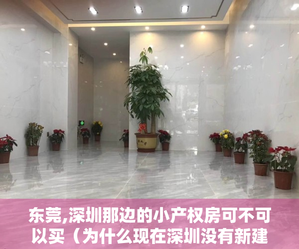 东莞,深圳那边的小产权房可不可以买（为什么现在深圳没有新建的小产权房而东莞有很多新建的呢？）