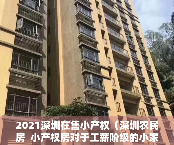 2021深圳在售小产权（深圳农民房  小产权房对于工薪阶级的小家庭来说，是否为刚需？）