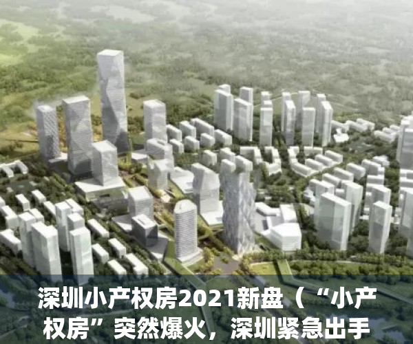 深圳小产权房2021新盘（“小产权房”突然爆火，深圳紧急出手了！）(深圳小产权2021年火了)