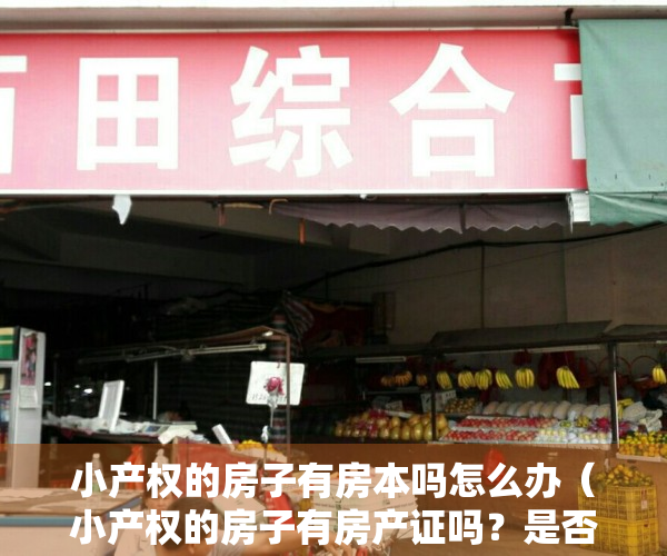 小产权的房子有房本吗怎么办（小产权的房子有房产证吗？是否可以进行买卖？）