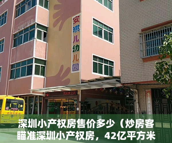 深圳小产权房售价多少（炒房客瞄准深圳小产权房，42亿平方米的建筑面积已成为其护身符）