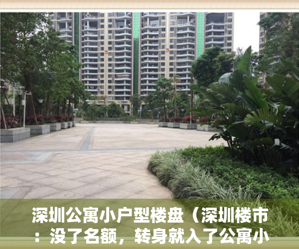 深圳公寓小户型楼盘（深圳楼市：没了名额，转身就入了公寓小产权的坑，刚需一定要注意）