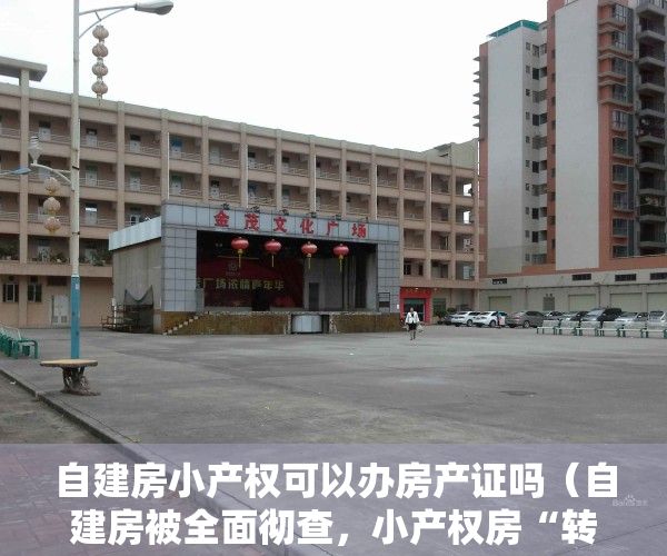 自建房小产权可以办房产证吗（自建房被全面彻查，小产权房“转正”还有希望吗？别花冤枉钱了）