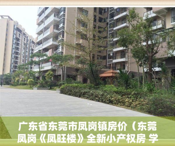 广东省东莞市凤岗镇房价（东莞凤岗《凤旺楼》全新小产权房 学区房公园旁单价5200元起）