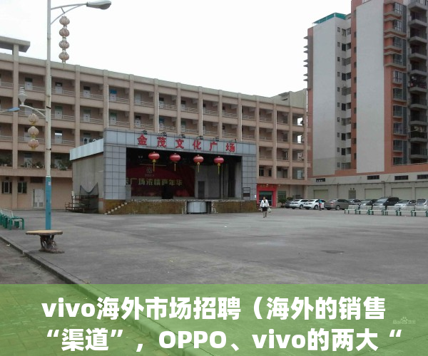 vivo海外市场招聘（海外的销售“渠道”，OPPO、vivo的两大“项目”落地）(vivo海外工作)