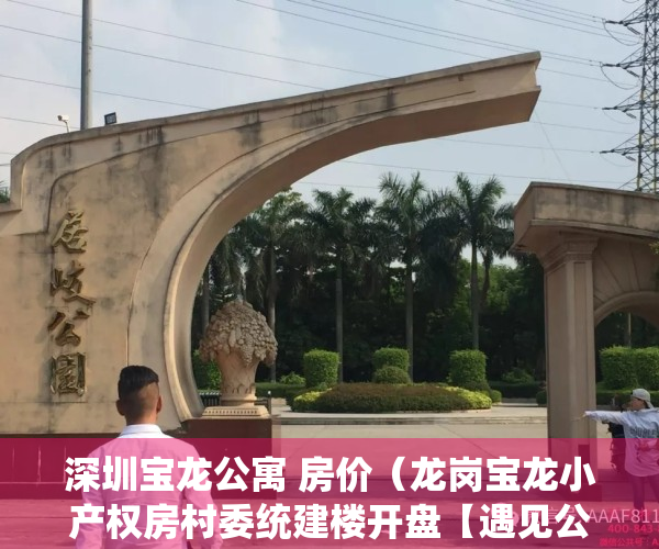 深圳宝龙公寓 房价（龙岗宝龙小产权房村委统建楼开盘【遇见公馆】龙岗宝龙集体大红本公寓【遇见公馆】龙岗可落户小产权房开盘）