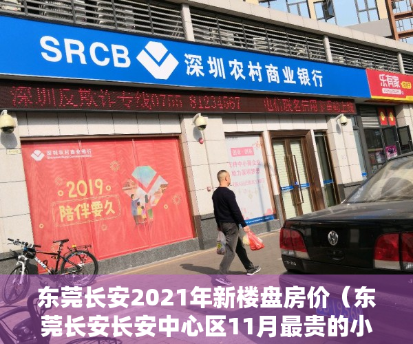 东莞长安2021年新楼盘房价（东莞长安长安中心区11月最贵的小区均价超过4万平，均价27620元平）