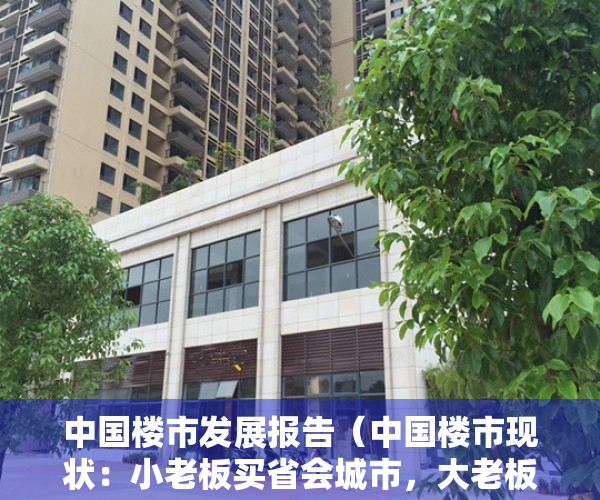 中国楼市发展报告（中国楼市现状：小老板买省会城市，大老板买遍全国）