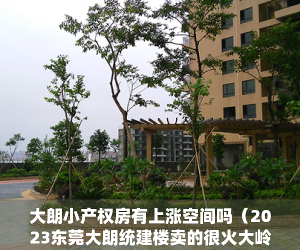 大朗小产权房有上涨空间吗（2023东莞大朗统建楼卖的很火大岭山小产权房靠近松山湖吗？松山湖有小产权吗）