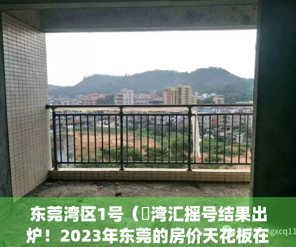 东莞湾区1号（瑧湾汇摇号结果出炉！2023年东莞的房价天花板在哪里？）(东莞湾吧怎么样)