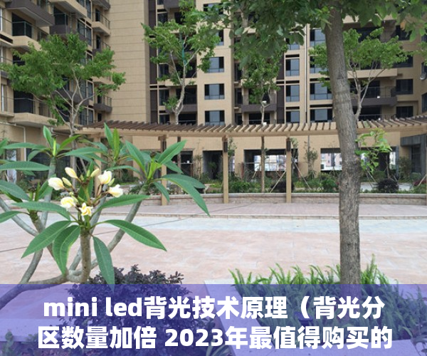 mini led背光技术原理（背光分区数量加倍 2023年最值得购买的Mini LED电视TCL Q10G Pro发布）