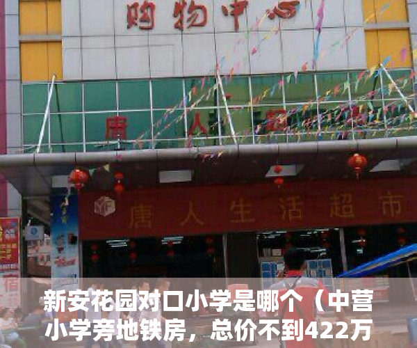 新安花园对口小学是哪个（中营小学旁地铁房，总价不到422万，新安花园到底能不能买？）