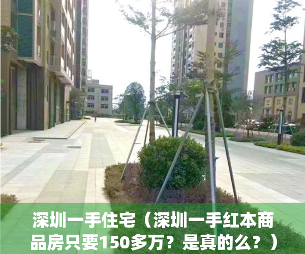 深圳一手住宅（深圳一手红本商品房只要150多万？是真的么？）(深圳一手住宅成交)