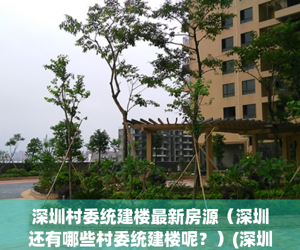 深圳村委统建楼最新房源（深圳还有哪些村委统建楼呢？）(深圳村委统建楼最新政策2020)